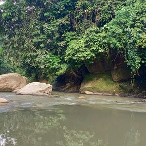 Gunung Leuser Nationaal Park