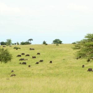 Arusha National Park