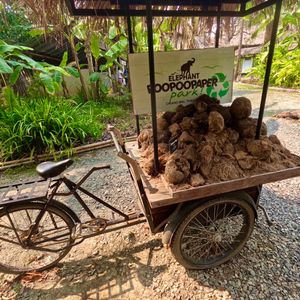 Vrije dag Khao Sok