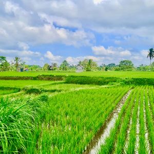 Aankomst op Bali