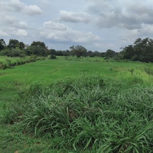 Aankomst in Sri Lanka