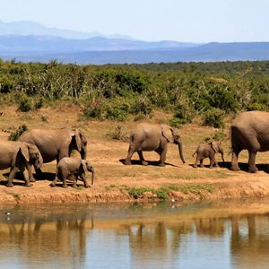 Van Kruger naar Timbavati