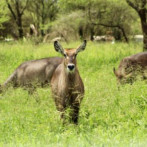 Arusha National Park