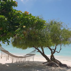 Snorkeltour bij de Gili eilanden