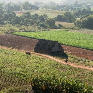 Viñales