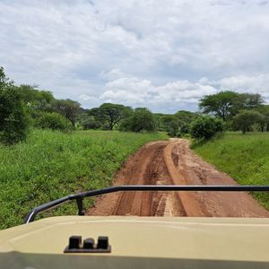 Tarangire Nationaal Park