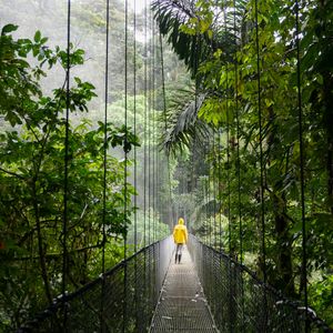 Hangbruggen in Monteverde