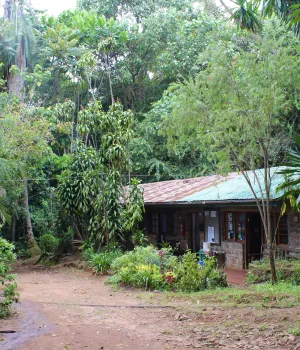 Reisvaccinaties Tanzania Reisvaccinaties Tanzania