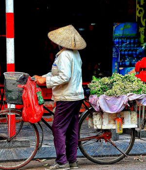 Zorg & verzekeringen Vietnam