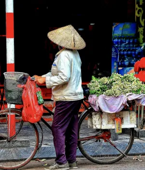 Zorg en verzekeringen Vietnam