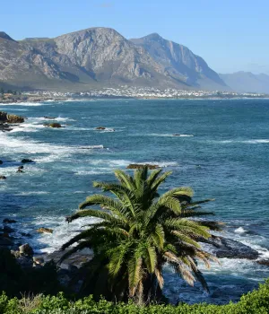 Is Zuid-Afrika de moeite waard?