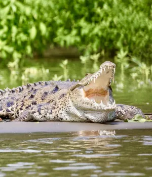 Fly-drive Costa Rica