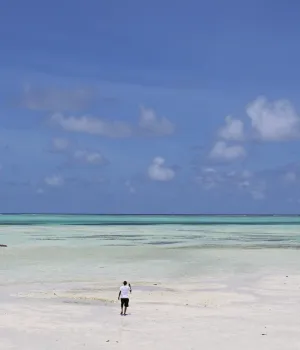 Kosten en budget Tanzania Kosten en budget Tanzania