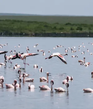 Populaire plekken Tanzania & Zanzibar Populaire plekken Tanzania & Zanzibar