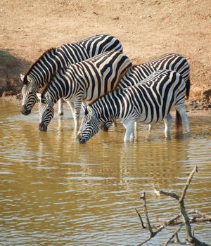 Welk deel van Zuid-Afrika is het mooist?