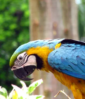 Do's en don'ts Peru Do's en don'ts Peru