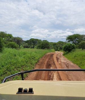 Georganiseerde rondreizen Tanzania