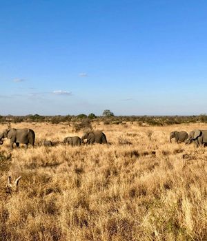 Kosten en prijzen Zuid-Afrika