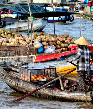 Reisvaccinaties Vietnam