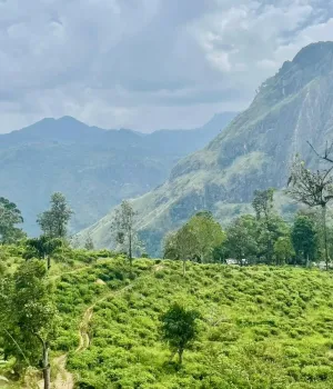 Kosten en budget Sri Lanka