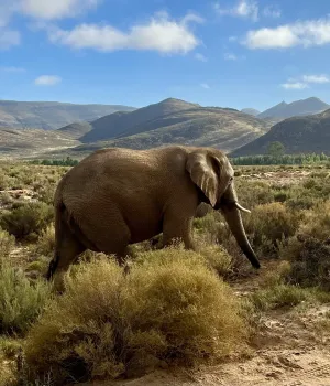 Beste reistijd Zuid-Afrika