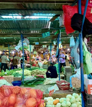 Reisvaccinaties Sri Lanka