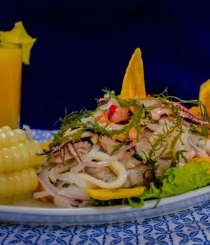 Zorg en verzekeringen Peru Zorg en verzekeringen Peru