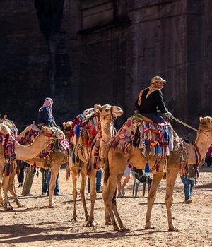 Familiereizen Jordanië