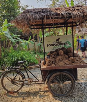 Zorg & verzekeringen Thailand