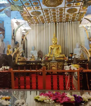 Georganiseerde rondreizen Sri Lanka