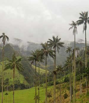 Welk deel van Colombia is het mooist?