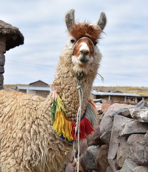 Hoe lang rondreizen in Peru?