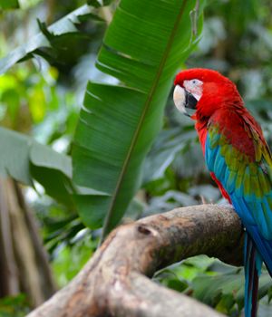 10 redenen om naar Colombia te reizen