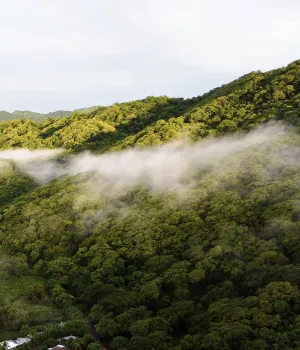 Populaire plekken Costa Rica