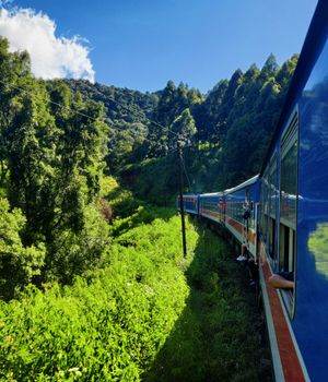 De mooiste treinreis van Sri Lanka