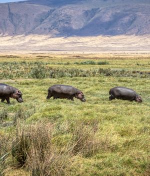 10 Redenen waarom je naar Tanzania moet!