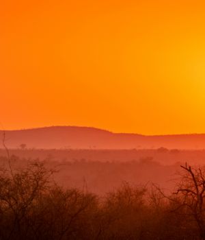 Zorg & verzekeringen Zuid-Afrika