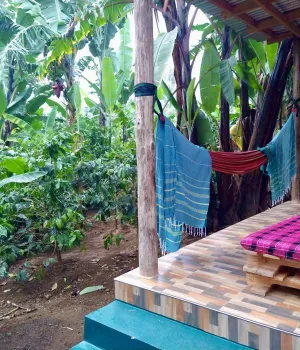 Praktische vragen Tanzania & Zanzibar Praktische vragen Tanzania & Zanzibar