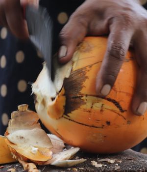 Hoogtepunten en bezienswaardigheden Sri Lanka