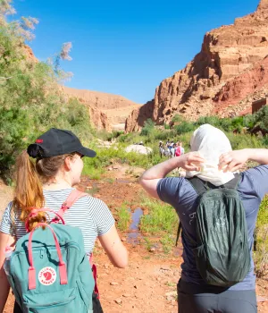 Reisvaccinaties Marokko