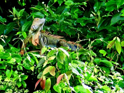 Van peuter tot tiener - hoe de reisbehoefte verandert per leeftijd