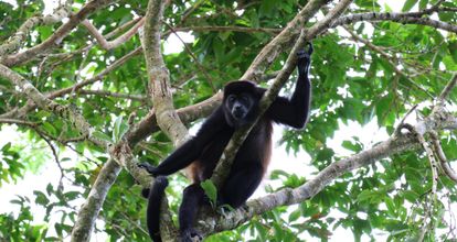 Costa Rica en Nicaragua