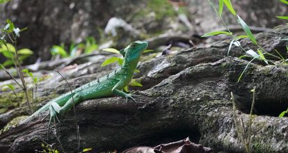 Costa Rica - off the beaten path