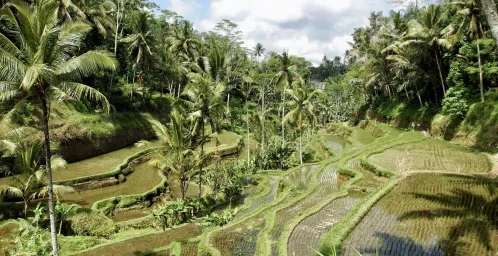 Ubud