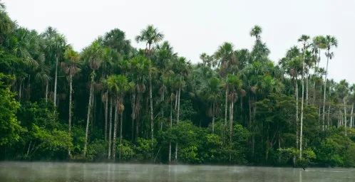 Sandoval lake & dieren spotten