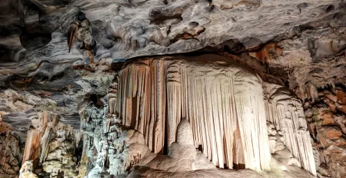 Cango Caves & Struisvogels