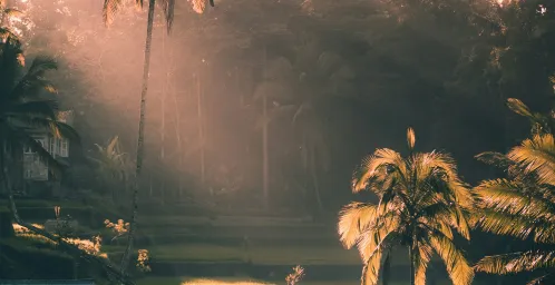 Vertrek naar huis of verlenging