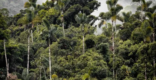 Chacra & lokale familie