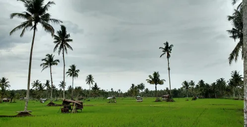 Aankomst in Bukit Lawang