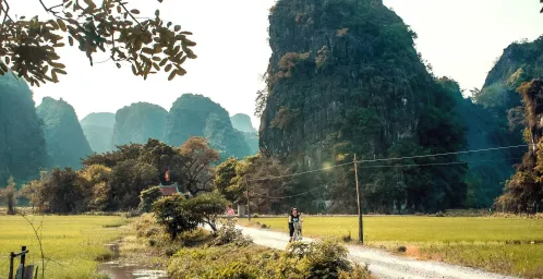 Bamboe raften en fietsen